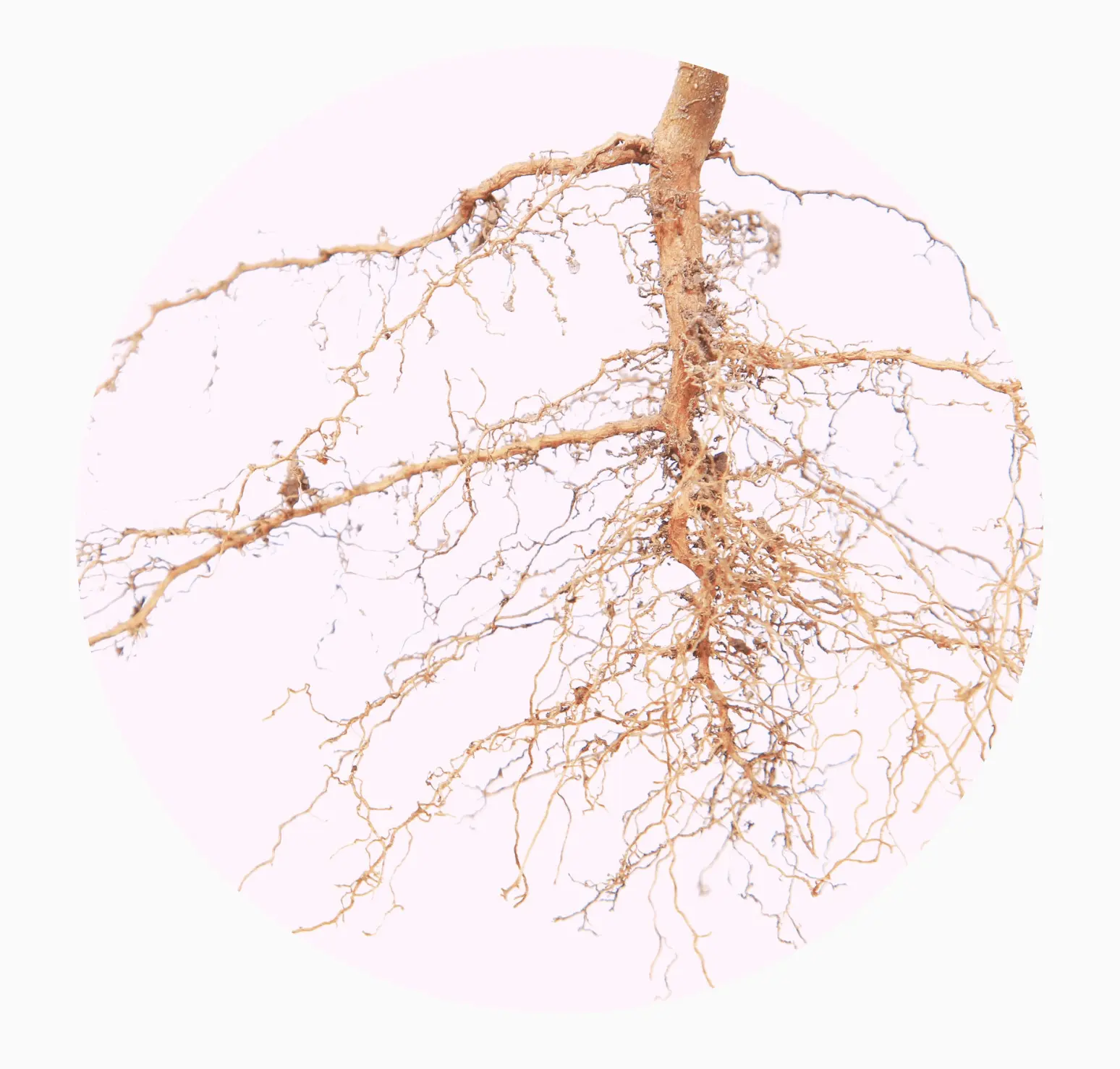 le stress porte souvent des origines inconscientes